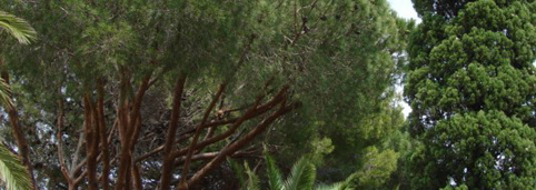 1395083644.jpg (482×171)