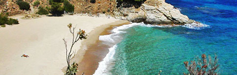 1395083667.jpg (482×154)